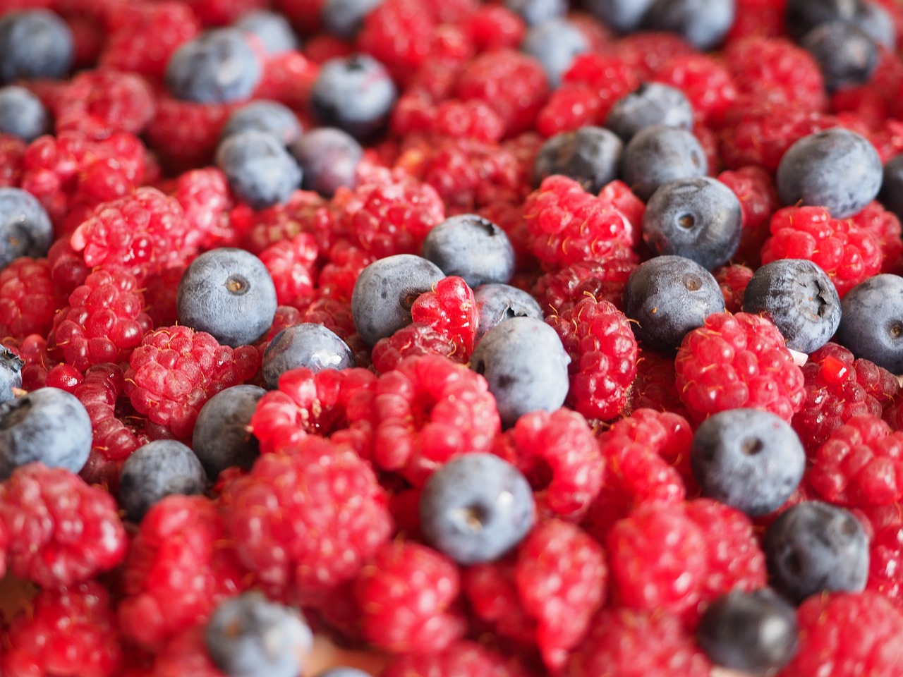 raspberries, blueberries, berry-693650.jpg